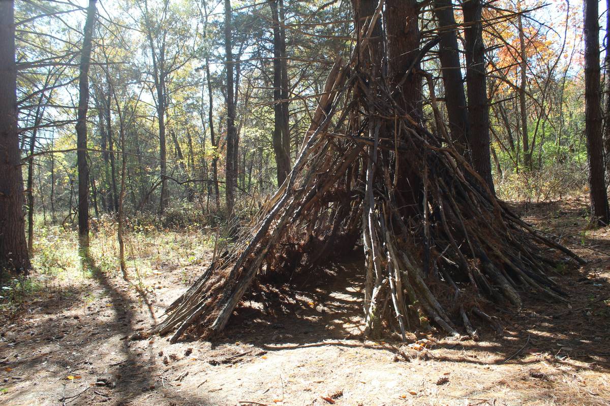 Backpacker using camping hiking survival outdoor skill book to build debris shelter in rainy forest